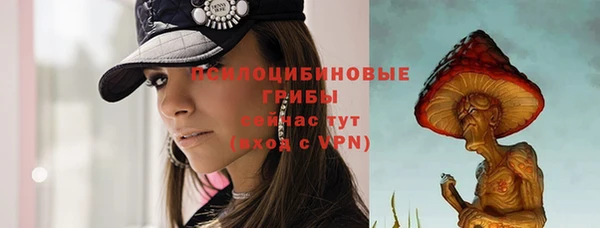 твердый Армянск