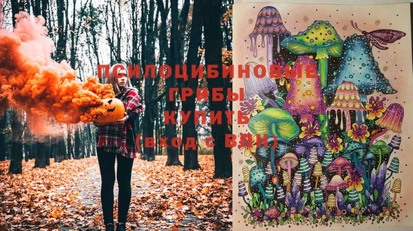 твердый Армянск